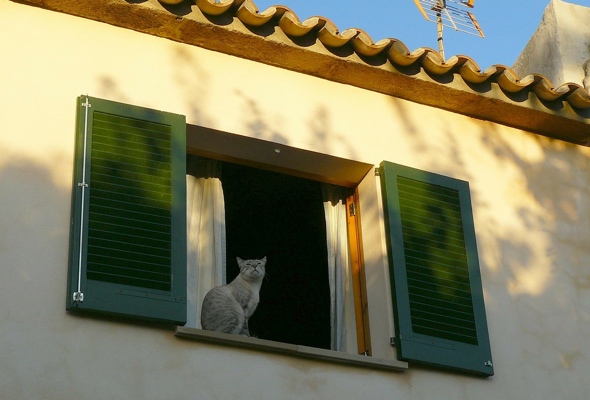 Mediterranean with exterior shutters